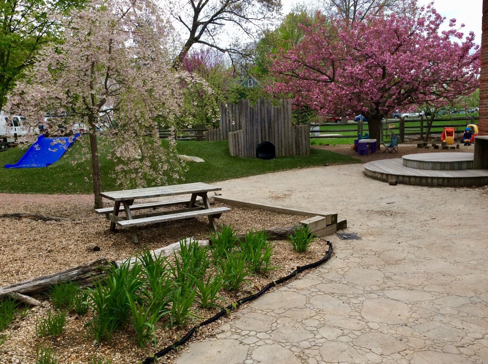 LPC's nature-inspired playground